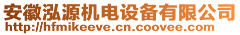 安徽泓源機電設(shè)備有限公司