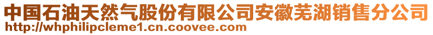 中國(guó)石油天然氣股份有限公司安徽蕪湖銷售分公司