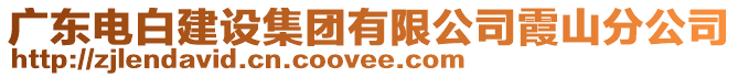 廣東電白建設(shè)集團(tuán)有限公司霞山分公司