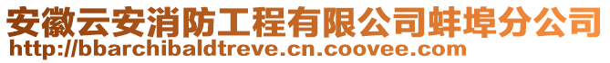 安徽云安消防工程有限公司蚌埠分公司