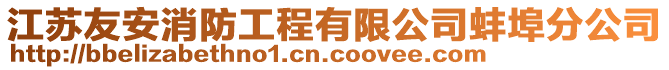 江蘇友安消防工程有限公司蚌埠分公司