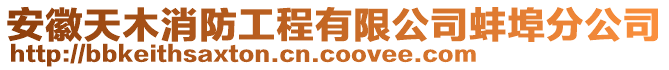 安徽天木消防工程有限公司蚌埠分公司