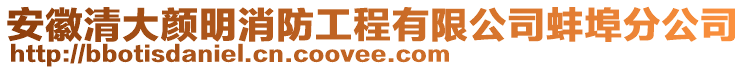 安徽清大顏明消防工程有限公司蚌埠分公司