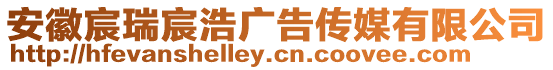安徽宸瑞宸浩廣告傳媒有限公司