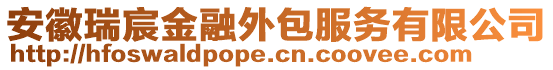 安徽瑞宸金融外包服務有限公司