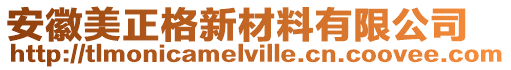 安徽美正格新材料有限公司