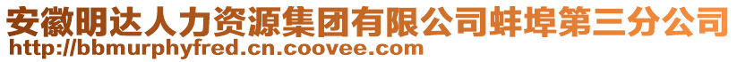 安徽明達人力資源集團有限公司蚌埠第三分公司