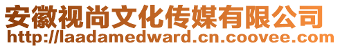 安徽視尚文化傳媒有限公司