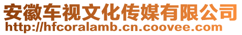 安徽車視文化傳媒有限公司