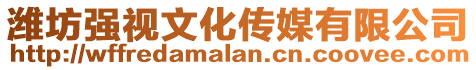 濰坊強(qiáng)視文化傳媒有限公司