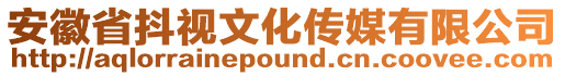 安徽省抖視文化傳媒有限公司