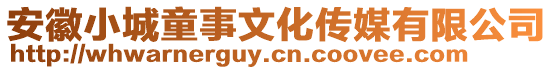 安徽小城童事文化傳媒有限公司