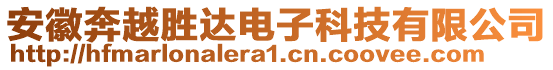 安徽奔越勝達(dá)電子科技有限公司