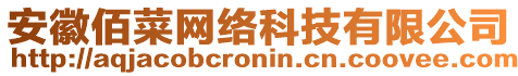 安徽佰菜網(wǎng)絡(luò)科技有限公司