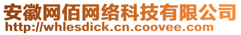 安徽網(wǎng)佰網(wǎng)絡(luò)科技有限公司