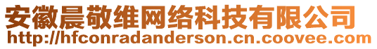 安徽晨敬維網(wǎng)絡(luò)科技有限公司