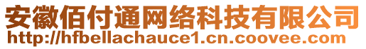 安徽佰付通網(wǎng)絡(luò)科技有限公司