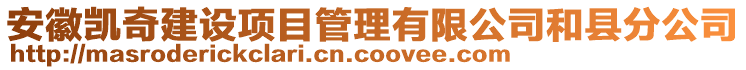 安徽凱奇建設項目管理有限公司和縣分公司