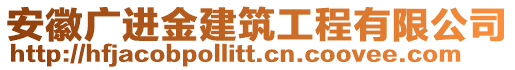 安徽廣進金建筑工程有限公司