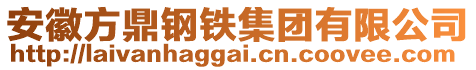 安徽方鼎鋼鐵集團(tuán)有限公司