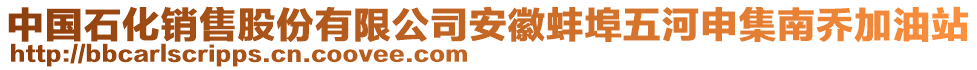 中國石化銷售股份有限公司安徽蚌埠五河申集南喬加油站