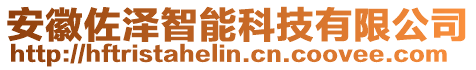 安徽佐澤智能科技有限公司