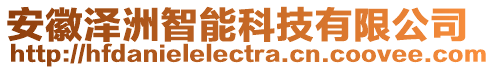 安徽澤洲智能科技有限公司