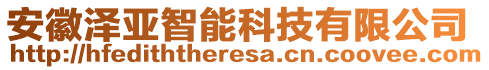 安徽澤亞智能科技有限公司