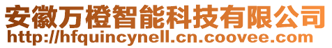 安徽萬橙智能科技有限公司