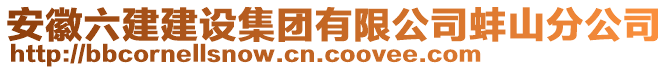 安徽六建建設(shè)集團(tuán)有限公司蚌山分公司