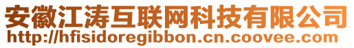 安徽江濤互聯(lián)網(wǎng)科技有限公司