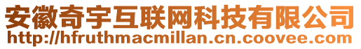安徽奇宇互聯網科技有限公司