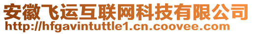 安徽飛運(yùn)互聯(lián)網(wǎng)科技有限公司