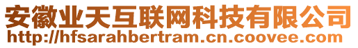 安徽業(yè)天互聯(lián)網(wǎng)科技有限公司