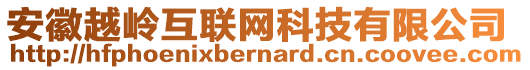 安徽越嶺互聯(lián)網(wǎng)科技有限公司