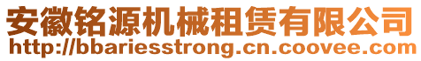 安徽銘源機(jī)械租賃有限公司