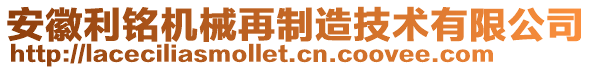 安徽利銘機械再制造技術(shù)有限公司