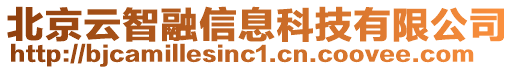 北京云智融信息科技有限公司