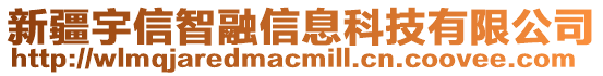 新疆宇信智融信息科技有限公司