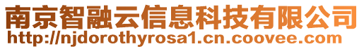 南京智融云信息科技有限公司