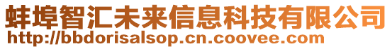 蚌埠智匯未來(lái)信息科技有限公司