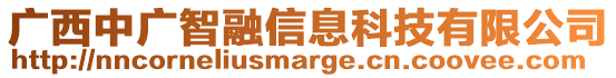 廣西中廣智融信息科技有限公司
