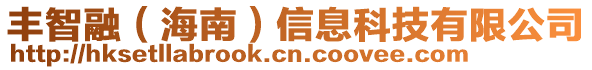 豐智融(海南)信息科技有限公司