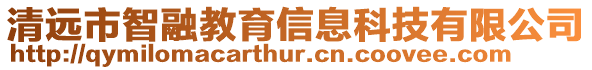 清遠(yuǎn)市智融教育信息科技有限公司