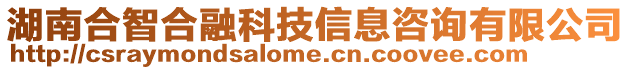 湖南合智合融科技信息咨詢有限公司