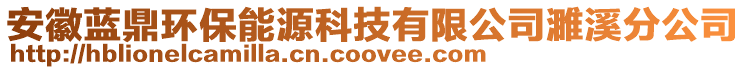 安徽藍(lán)鼎環(huán)保能源科技有限公司濉溪分公司