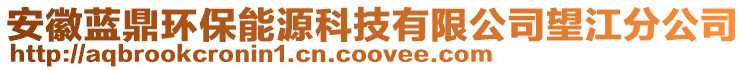 安徽藍鼎環(huán)保能源科技有限公司望江分公司