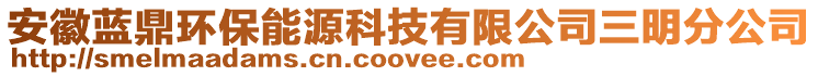 安徽藍(lán)鼎環(huán)保能源科技有限公司三明分公司