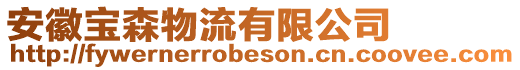安徽寶森物流有限公司