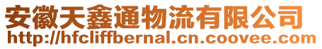 安徽天鑫通物流有限公司